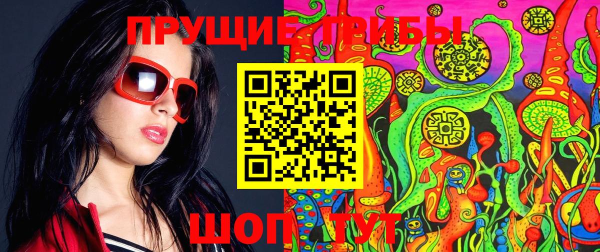 Галлюциногенные грибы мицелий  Галлюциногенные грибы Psilocybine cubensis  Вход с VPN  Нижнеудинск 